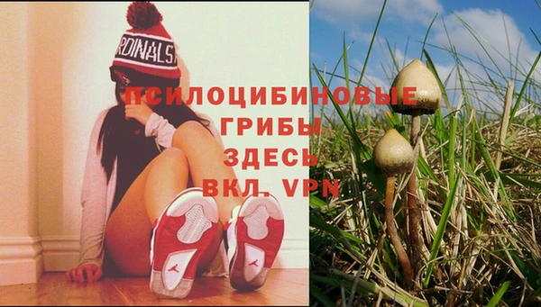 мяу мяу мука Абинск