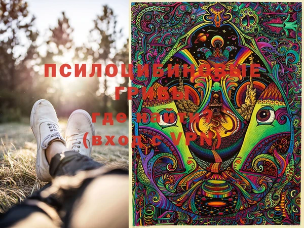 стафф Абаза