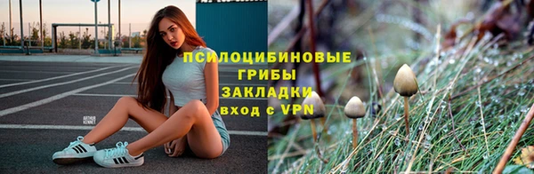 мяу мяу мука Абинск