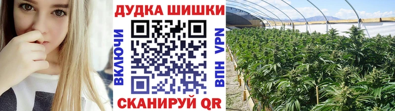 Бошки марихуана Ganja где найти Адыгейск